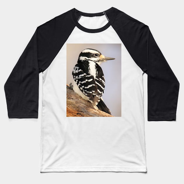 Hairy Woodpecker, bird, North American Bird, Songbird, Backyard Bird Baseball T-Shirt by BirdsnStuff